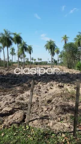 Granja de 10 ha.en Nueva Colombia — foto 5