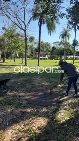 Granja de 10 ha.en Nueva Colombia — foto 4