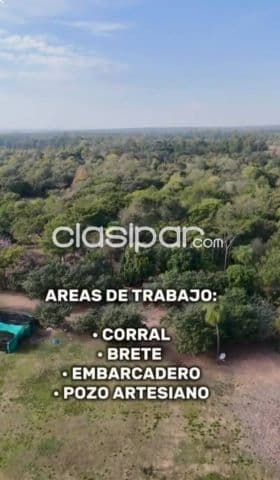 En venta quinta de 7 hectareas en loma grande - nueva colombia