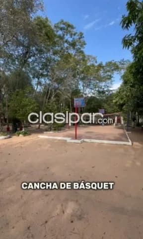 En venta quinta de 7 hectareas en loma grande - nueva colombia — foto 4