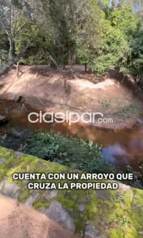 En venta quinta de 7 hectareas en loma grande - nueva colombia — foto 5