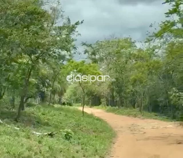 Terreno Residencial en Ciervo Cuá - 5000 m2, foto 3