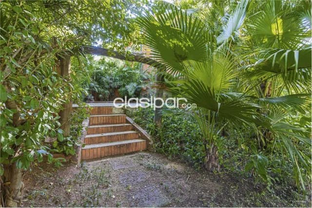 Terreno - Venta - Ycuá Satí, Paraguay, foto 5