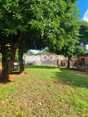 Terreno en Luque - laurety, foto 5