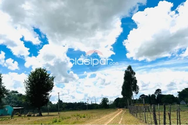 27 hectareas en caaguazu- 4ta.linea c/naciente de agua ideal /agricul de agua ideal — foto 3