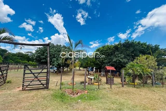 27 hectareas en caaguazu- 4ta.linea c/naciente de agua ideal /agricul de agua ideal — foto 4