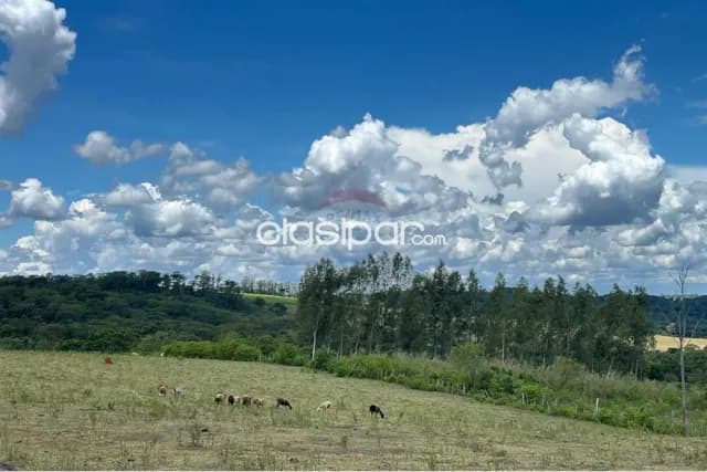 27 hectareas en caaguazu- 4ta.linea c/naciente de agua ideal /agricul de agua ideal — foto 5
