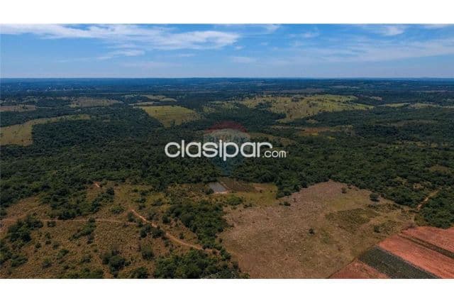 Propiedad ganadera 125 hectareas cnel.oviedo-caaguazu c/manantial entrar ruta 2 y 8, foto 1
