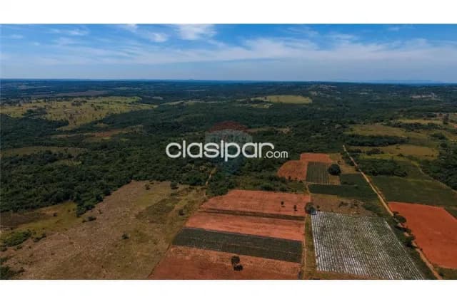 Propiedad ganadera 125 hectareas cnel.oviedo-caaguazu c/manantial entrar ruta 2 y 8, foto 3