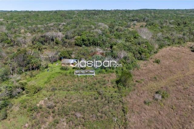 43 hectareas en piribebuy en kaundy entre cdad.piribebuy y eusebio ayala
