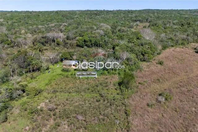 43 hectareas en piribebuy en kaundy entre cdad.piribebuy y eusebio ayala — foto 2
