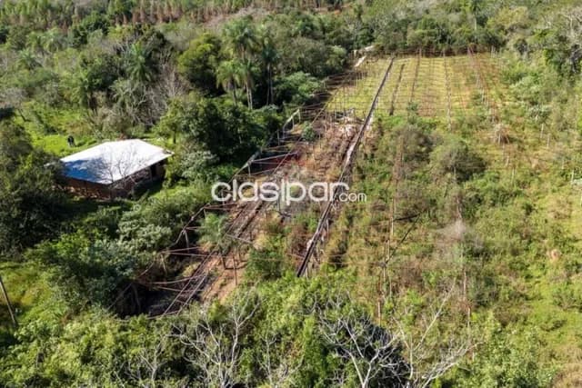 43 hectareas en piribebuy en kaundy entre cdad.piribebuy y eusebio ayala — foto 3