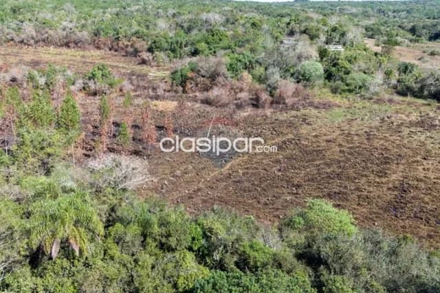 43 hectareas en piribebuy en kaundy entre cdad.piribebuy y eusebio ayala — foto 4