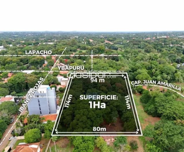 Terreno de 1 hectarea en Luque zona cit, foto 2