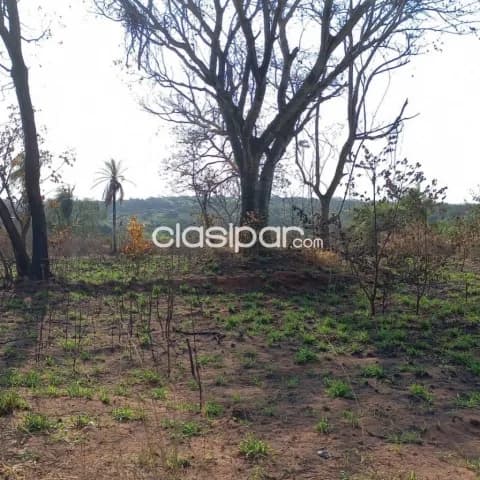 casa quinta con terreno en palma loma Luque, foto 3