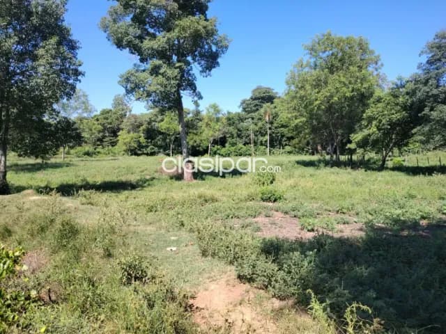 En venta – 24 hectáreas en san pedro ypajere, foto 5