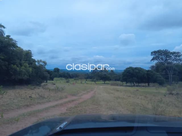Dos terrenos juntos 2000 mts2, foto 4