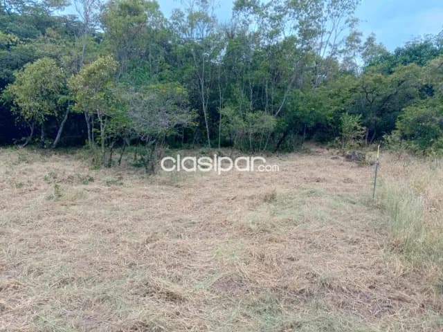 Dos terrenos juntos 2000 mts2, foto 5