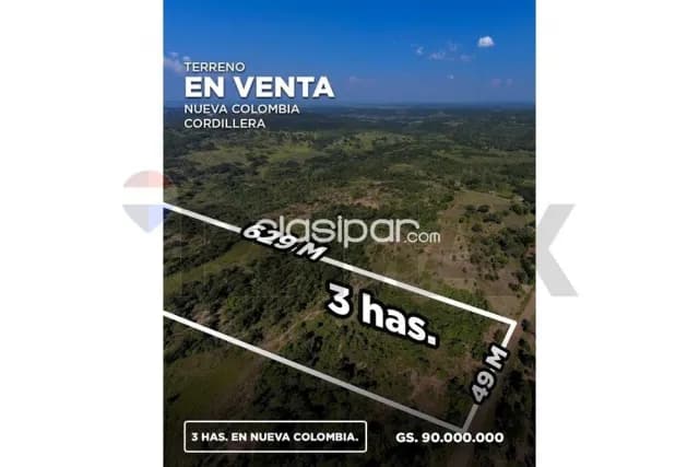 Amplio terreno en Nueva Colombia, Cordillera, foto 3