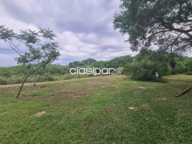 – 2 hectáreas Luque -isla bogado, foto 3