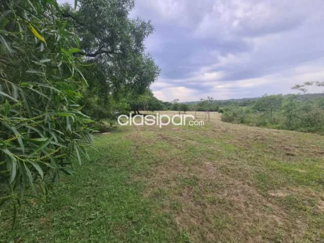 – 2 hectáreas Luque -isla bogado, foto 4