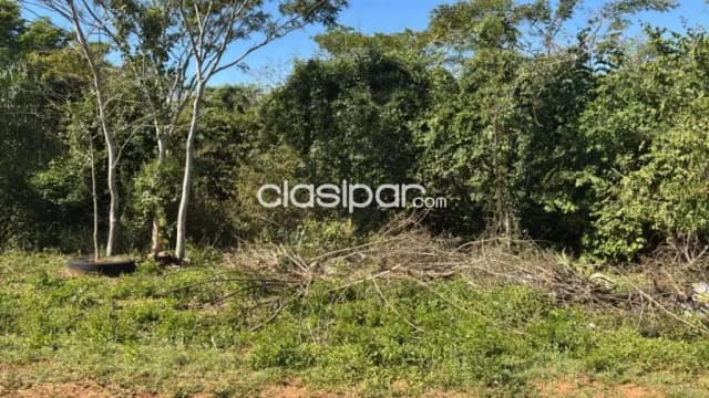 TERRENO en Aregua zona Pindolo — foto 3
