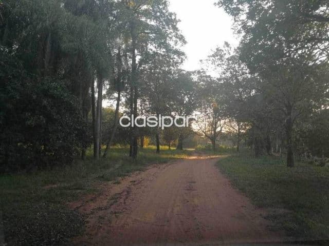 Propiedad sobre el Río Paraguay, foto 1