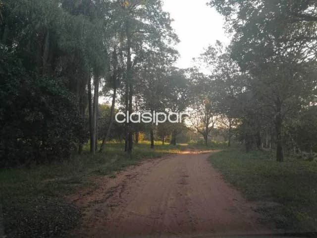 Propiedad sobre el Río Paraguay, foto 2