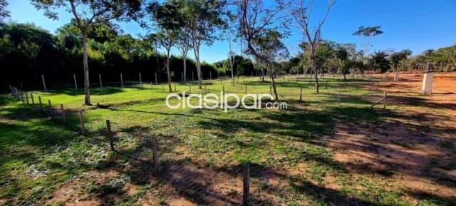 Aregua forest country en pozo, foto 3