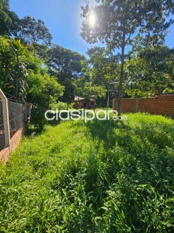 Terreno de 10x43 en barrio Cañadita de Ñemby zona Comisaria 57 a metros de calle asf