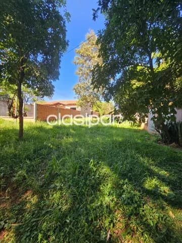 Terreno de 10x43 en barrio Cañadita de Ñemby zona Comisaria 57 a metros de calle asf — foto 5