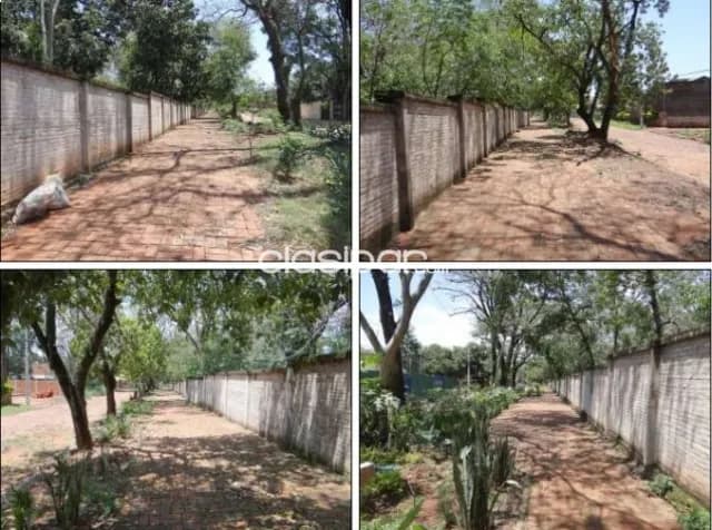 Inversión única de 3 HAS Lote Guazú, San Lorenzo, foto 3