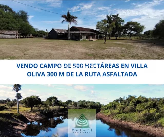 Villa oliva 500 hectáreas a 70 kms de Asunción y 300 metros de la ruta villeta alberdi, foto 2
