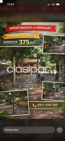 Terreno en Aregua — foto 2