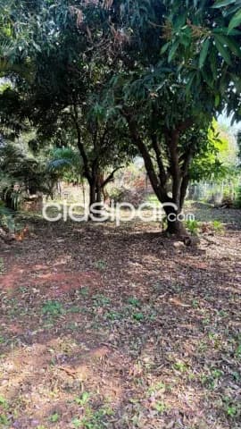 TERRENO EN Luque (Entrada al Barrio Palma Loma), foto 3