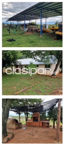 En venta estancia formada de 558 hectareas sobre ruta 1 caapucu , depto. De paraguari !, foto 5