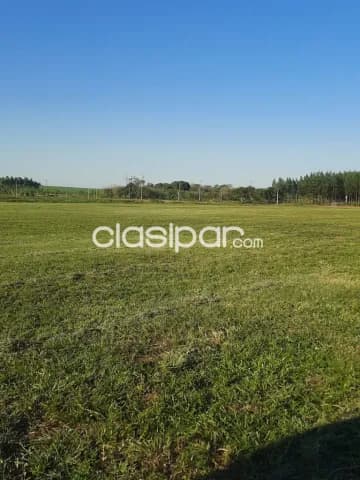 Lotes Inmobiliarios en Nueva Italia, foto 4