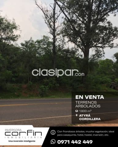 Terrenos arbolados en atyrá cordillera, sobre ruta, 1.800 m², juntos o separados