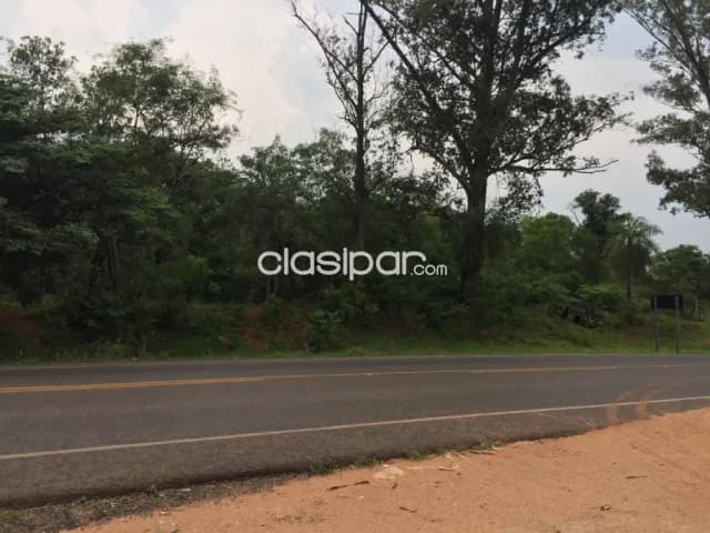 Terrenos arbolados en atyrá cordillera, sobre ruta, 1.800 m², juntos o separados, foto 3