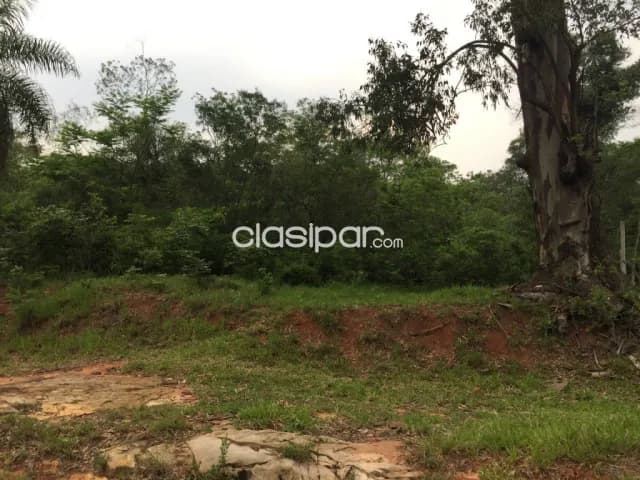 Terrenos arbolados en atyrá cordillera, sobre ruta, 1.800 m², juntos o separados, foto 5