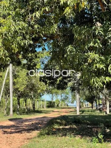 Terreno 3.810m2 en tarumandy-Luque — foto 2