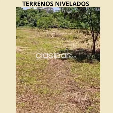 Terrenos en Venta – Barrio Maristas | Coronel Oviedo, foto 4