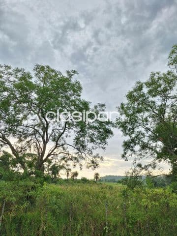 Se vende propiedad en banjamin aceval - zona centro, foto 1