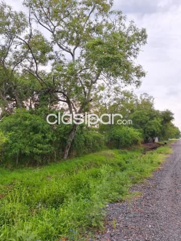 Se vende propiedad en banjamin aceval - zona centro, foto 5
