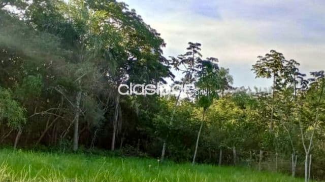 Terreno Rural en Nueva Colombia - 3 Ha, foto 1