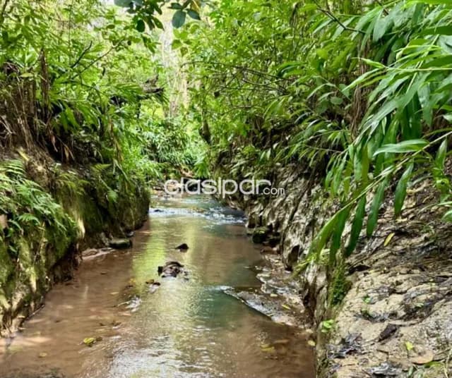 Terreno Rural en Altos sobre Ruta Pavimentada - 2 Ha — foto 3