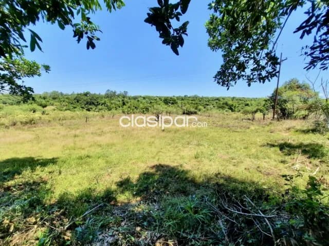 Terreno Rural en Altos sobre Ruta Pavimentada - 2 Ha — foto 4