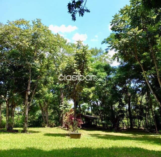 Granja en Eusebio Ayala - 2 Ha — foto principal
