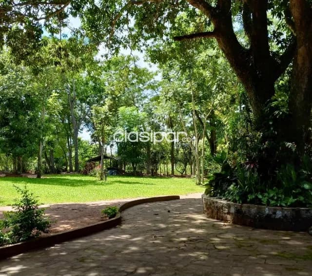 Granja en Eusebio Ayala - 2 Ha — foto 3