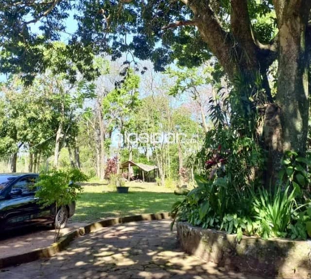 Granja en Eusebio Ayala - 2 Ha — foto 4